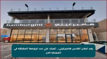 بعد إعلان إفلاس هامبرغيني.. تعرف على عدد فروعها المغلقة في المملكة الآن